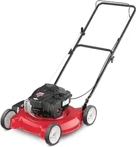 Gas-Powered Push Mowers