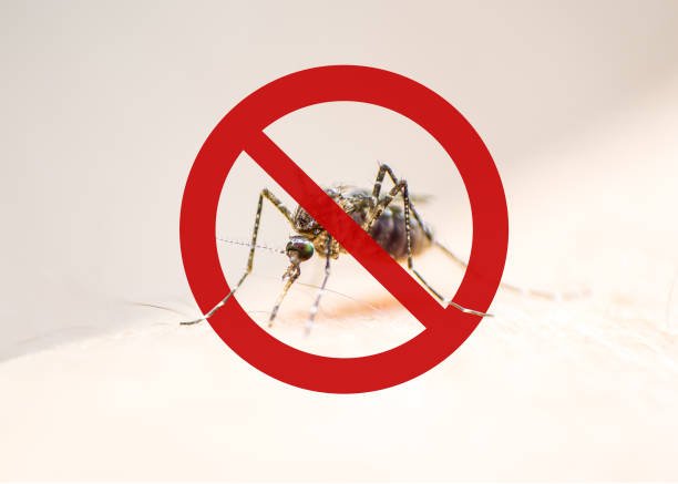 ’Prevent mosquito breeding